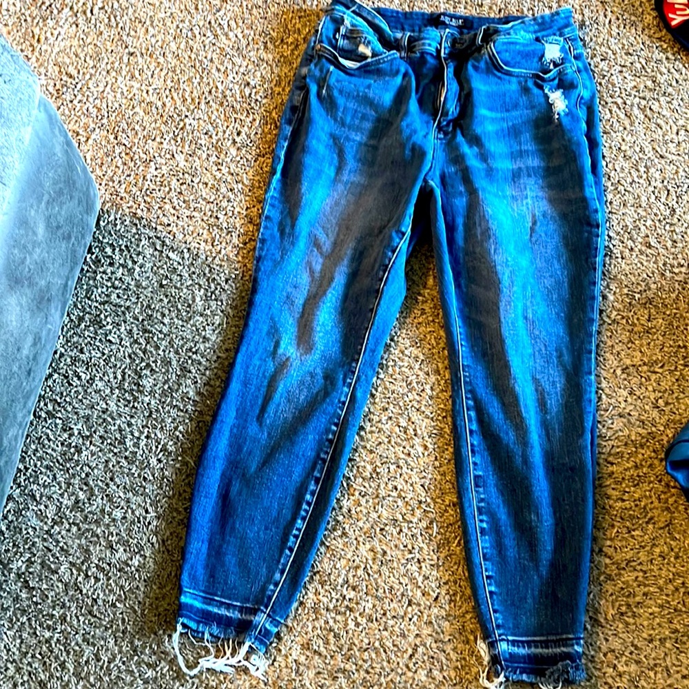 Judy Blue Plus Size Jeans